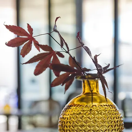 Arcus Luxury Appartamento *