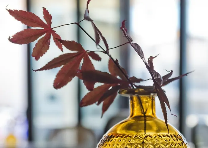 Arcus Luxury Apartment *